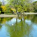 Herbert Green Photo 21