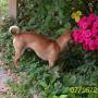 Kimberly Stroud Photo 18