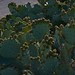 Dawn Robb Photo 24