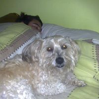 Andres Gamboa Photo 23