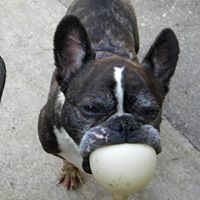 Robin Layman Photo 4
