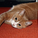 Marie Sutter Photo 14