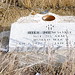 Bill Newsome Photo 11