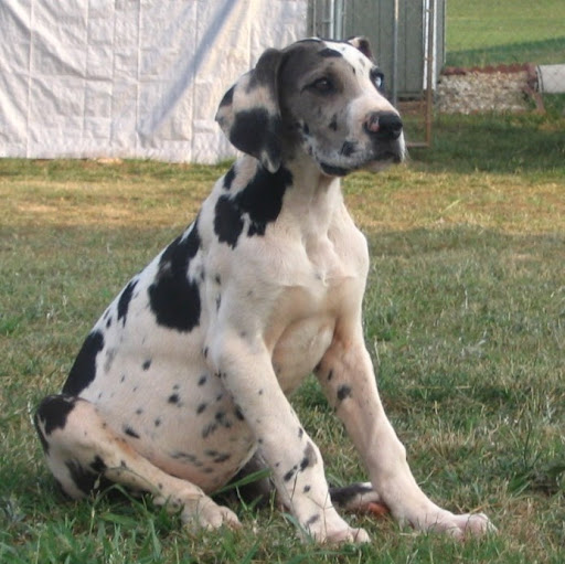 Don Stephens Photo 1