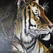 Dawn Miller Photo 46