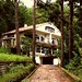 Andy Dinh Photo 11