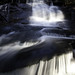 Don Potts Photo 14