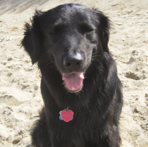 Lucille Schultz Photo 5