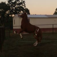Lori Leggett Photo 26