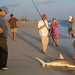 Ray Loomis Photo 10