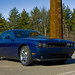 Bryan Goss Photo 28