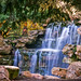Jason Cheung Photo 18