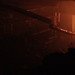 Sandy Pine Photo 12
