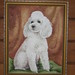 Connie Wight Photo 15