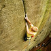 Jason Kruk Photo 12