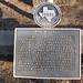Ann Whitney Photo 15