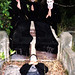 Lawrence Carey Photo 11