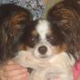 Pam Tribble Photo 10