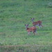 John Nickels Photo 24