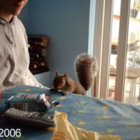Robert Callard Photo 5