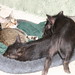 Wilbur Webster Photo 9