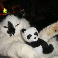 Janice Cowley Photo 13