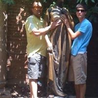 David Behrman Photo 24