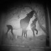 Donald Qualls Photo 14