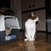 Eric Sweet Photo 19
