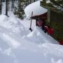 Michael Bosse Photo 12