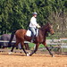 Linda Levi Photo 20