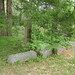 Ann Dickerson Photo 16