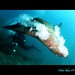 Vance Channel Photo 10