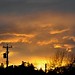 Victoria Douglas Photo 15