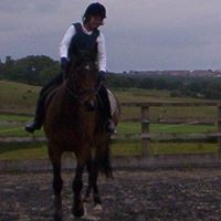Mitchell Webster Photo 5