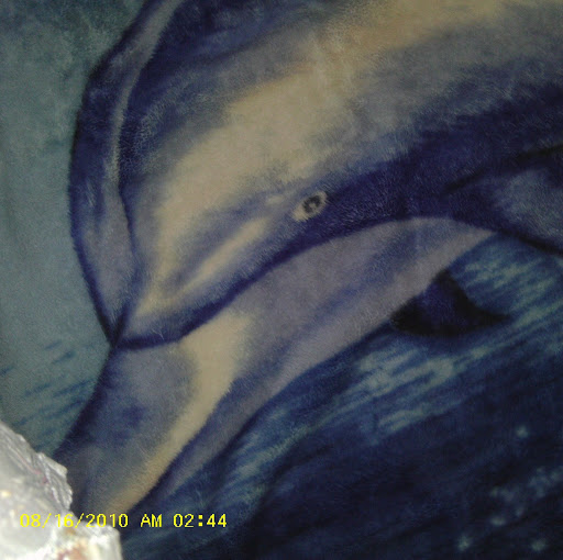 Kimberly Schafer Photo 24