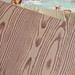 Michael Lush Photo 13