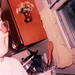 Lynne Summers Photo 10