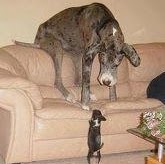 Amy Mapes Photo 6