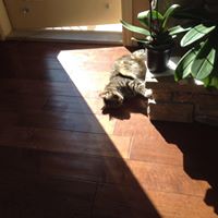 Jill Hooper Photo 29