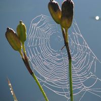 Brian Macdonald Photo 14