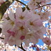 Judy Friend Photo 15
