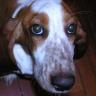 Kelly Wieczorek Photo 12