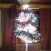 Dawn Lockard Photo 9
