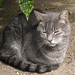 Jay Strayer Photo 6