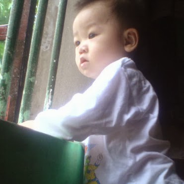 Tuyet Vu Photo 11