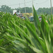 Brian Behm Photo 11