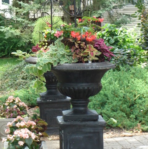 Julie Zielinski Photo 28