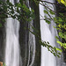 Janet Hays Photo 25