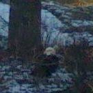 Sharon Rhoads Photo 19